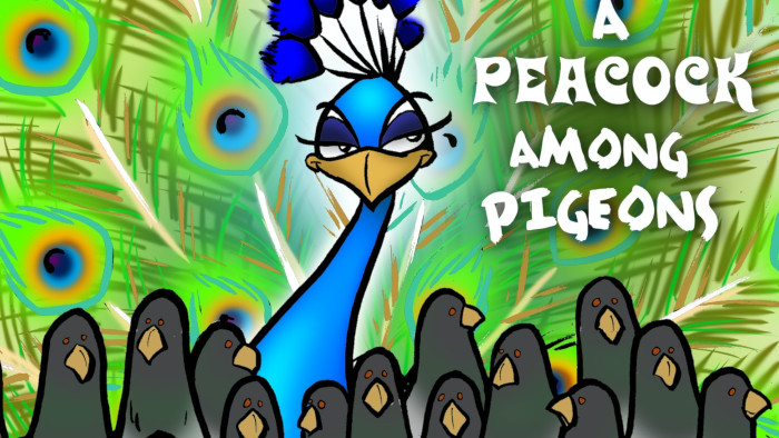 a peacock among pigeons